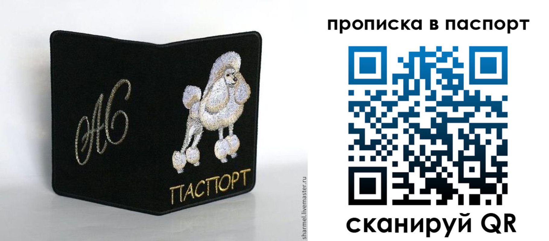 прописка для работы в Черноголовке